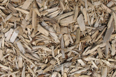 biomass boilers Parkneuk
